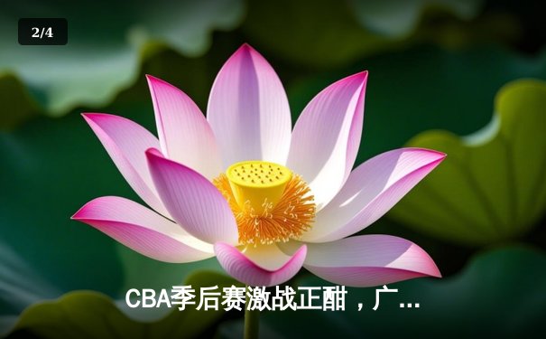 CBA季后赛激战正酣，广东队主场逆转辽宁夺赛点 - 2